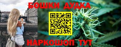 прущие крисы Будённовск