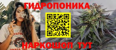 прущие крисы Будённовск