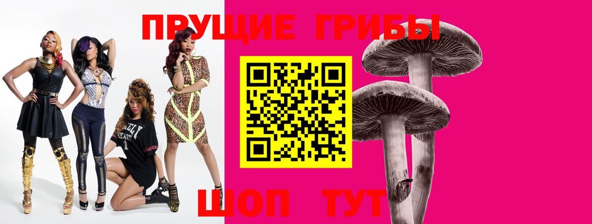 Псилоцибиновые грибы Psilocybe  Вход с VPN  Слободской 